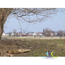 2006-13-03 Geuzenwaard (52)